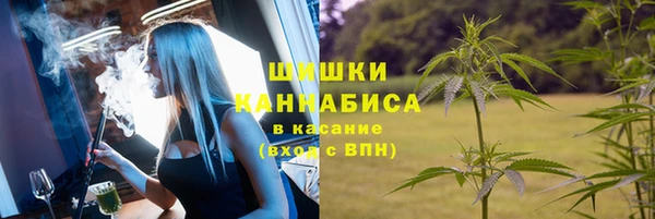 индика Аркадак