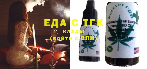 индика Аркадак