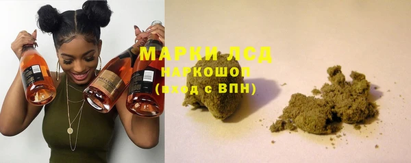 индика Аркадак