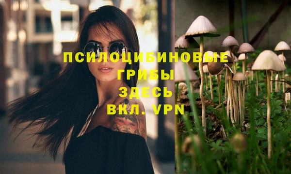 индика Аркадак