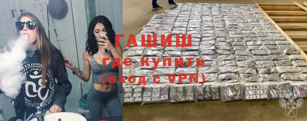 индика Аркадак