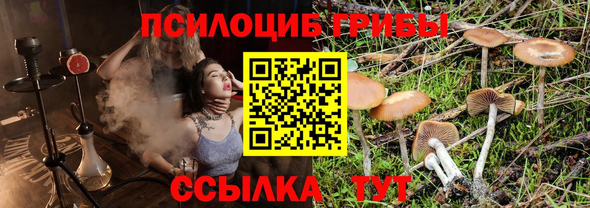 Владивосток  Галлюциногенные грибы Cubensis  Галлюциногенные грибы Psilocybe  Вход с VPN 