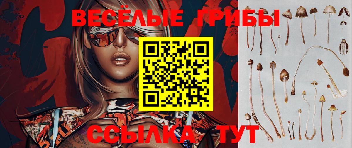 Псилоцибиновые грибы GOLDEN TEACHER Владивосток
